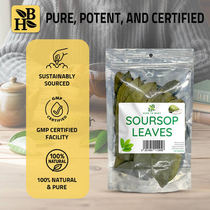 Herb To Body - Organic Soursop Leaves 50g - Dried Leaf | Hoja De Guanabana