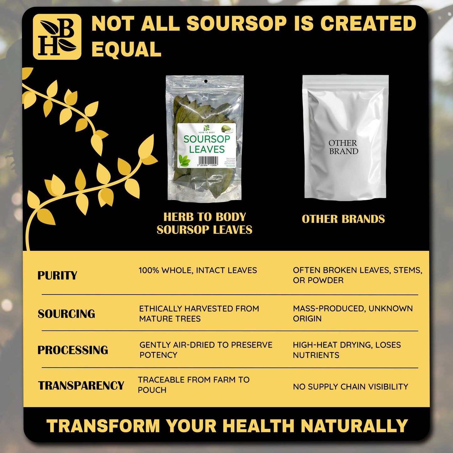 Herb To Body - Organic Soursop Leaves 50g - Dried Leaf | Hoja De Guanabana