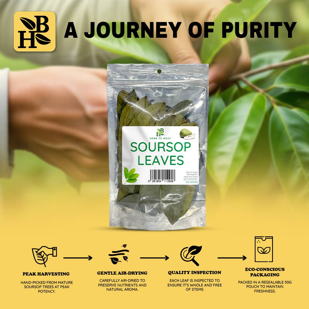 Herb To Body - Organic Soursop Leaves 50g - Dried Leaf | Hoja De Guanabana
