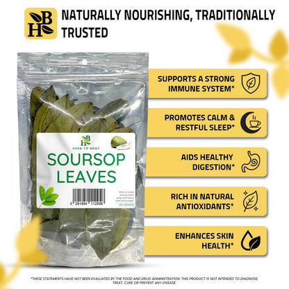 Herb To Body - Organic Soursop Leaves 50g - Dried Leaf | Hoja De Guanabana